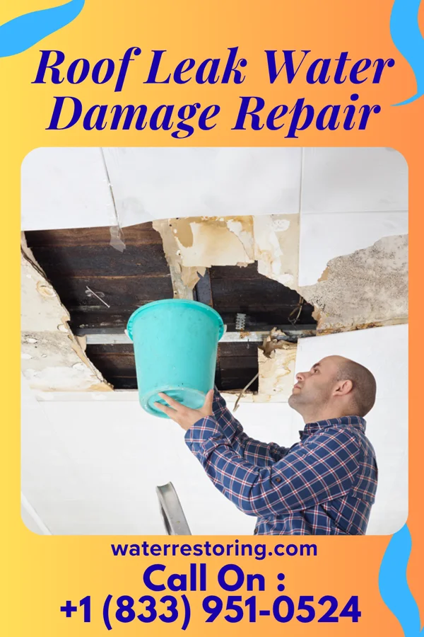 Roof Leak Water Damage Repair in Davey, NE